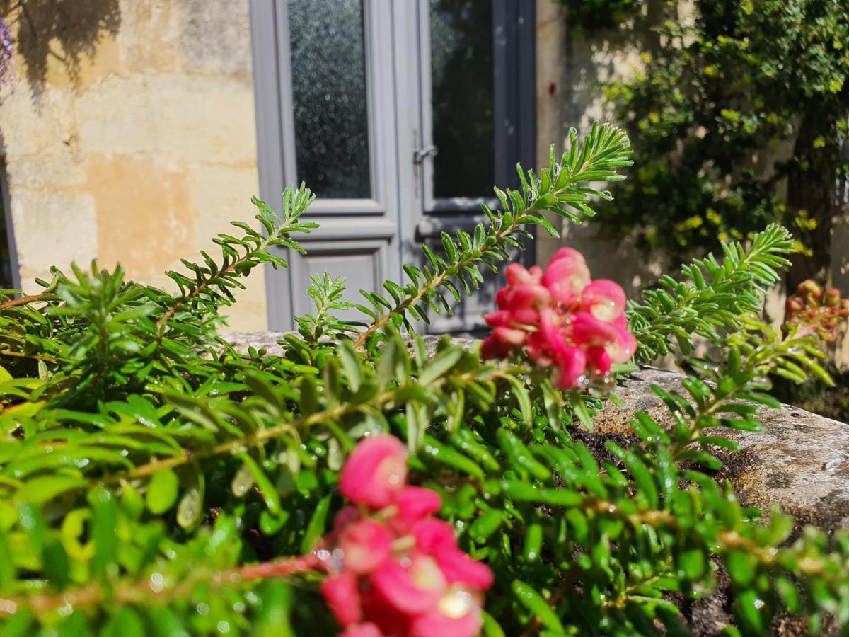 Le Clos Reaud Blaye-et-Sainte-Luce Exterior foto