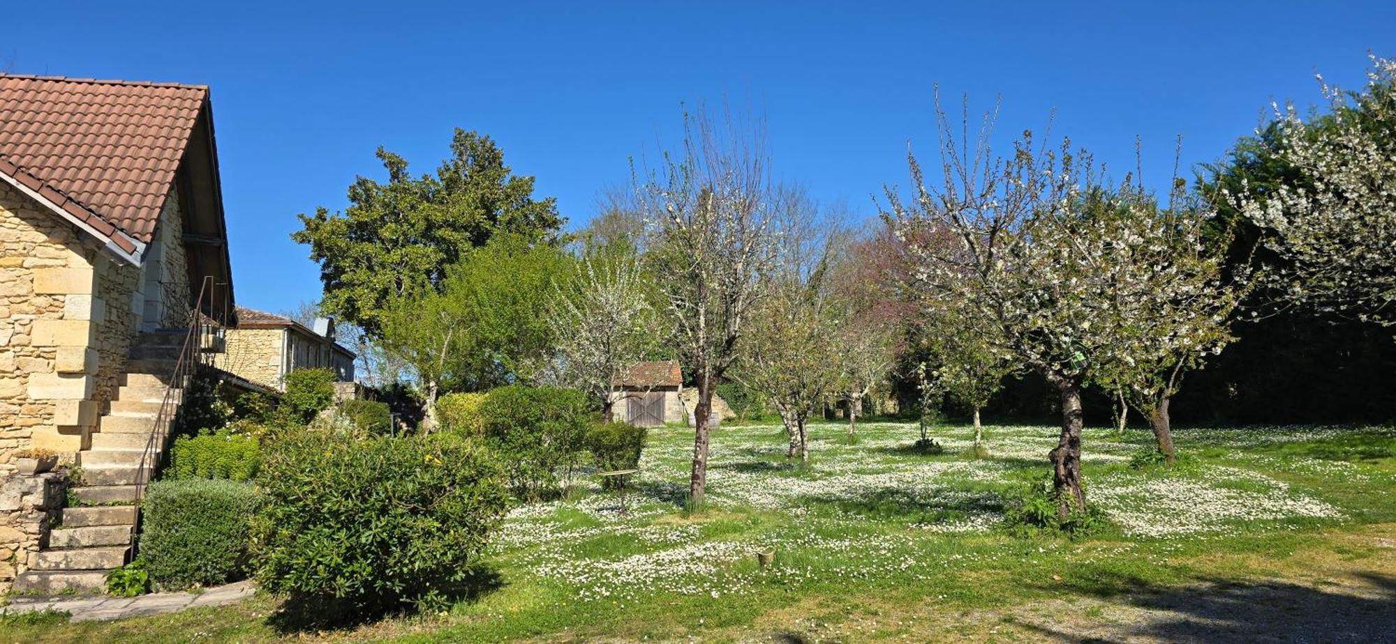 Le Clos Reaud Blaye-et-Sainte-Luce Exterior foto