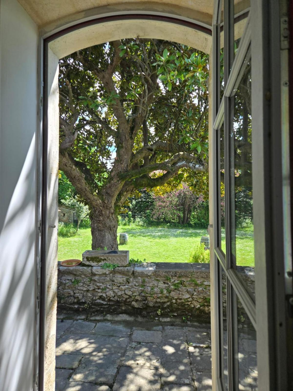 Le Clos Reaud Blaye-et-Sainte-Luce Exterior foto