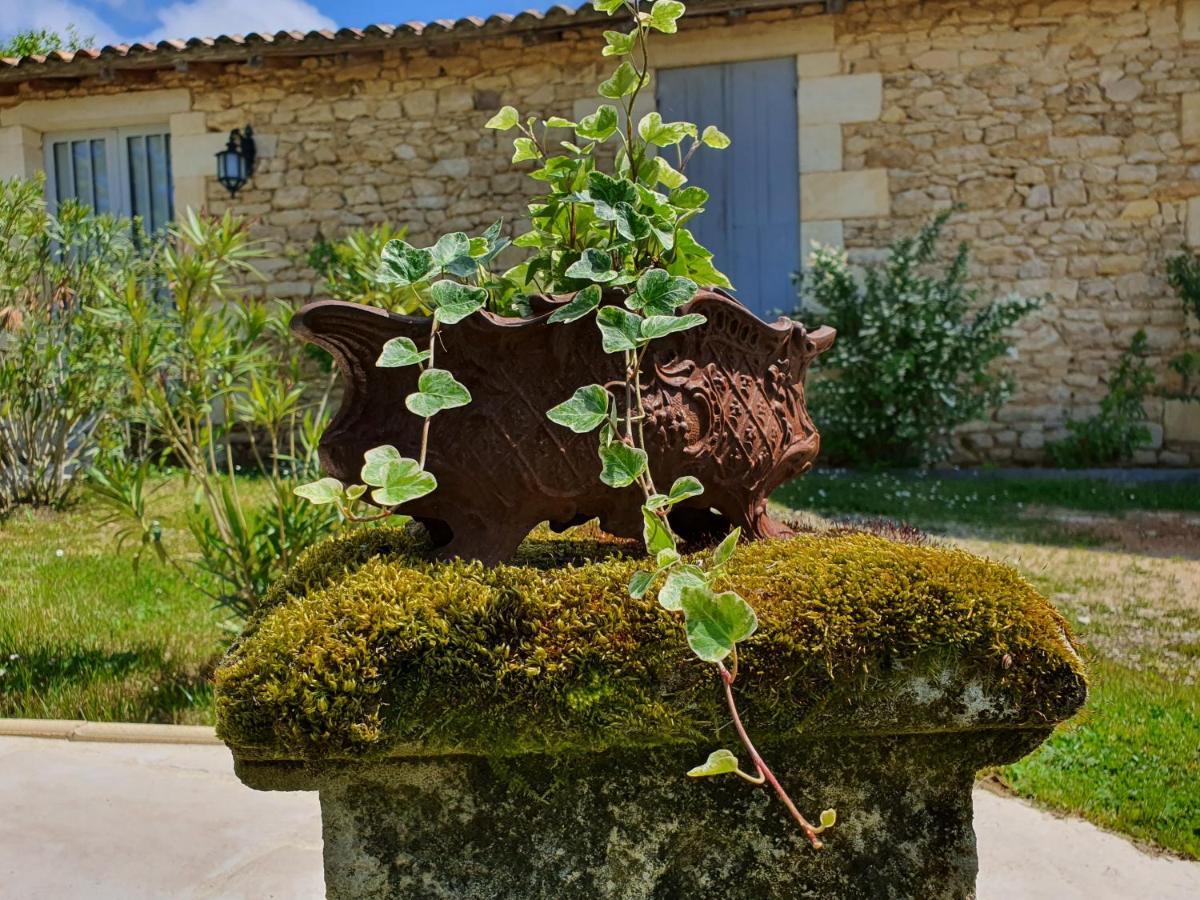 Le Clos Reaud Blaye-et-Sainte-Luce Exterior foto